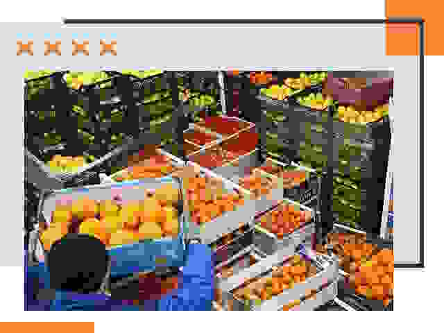 Перевозка скоропортящихся продуктов в Геленджике